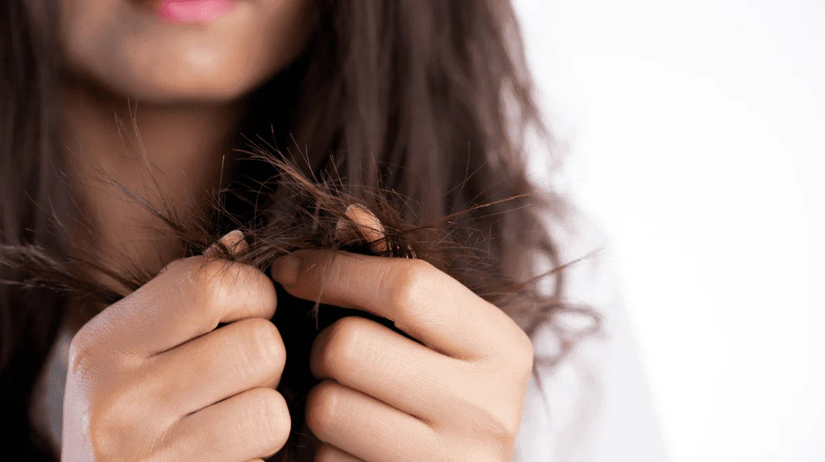 What Causes Hair Damage? - Watermans