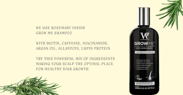 Rosemary oil hair growth frequently asked questions