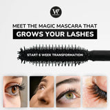 Lashology® 15ml Advanced Lash Growth Mascara